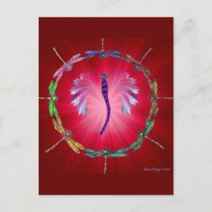 Ein Dragonfly-Tanz II Postkarte