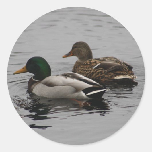 Ein Drake und ein Hen Runder Aufkleber (Vorderseite)