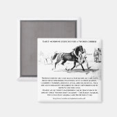"Ein durchdachtes Training" Magnet (Vorderseite/Rückseite)