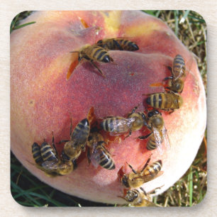 Ein Dutzend Bienen und ein Pfirsich Untersetzer