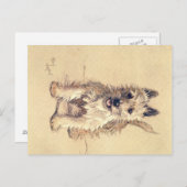 Ein Dutzend Hunde oder so Cecil Aldin Postkarte (Vorne/Hinten)