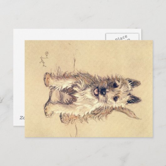 Ein Dutzend Hunde oder so Cecil Aldin Postkarte (Vorne/Hinten)