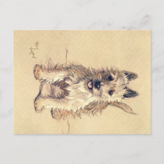 Ein Dutzend Hunde oder so Cecil Aldin Postkarte