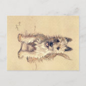 Ein Dutzend Hunde oder so Cecil Aldin Postkarte (Vorderseite)
