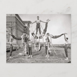 Ein Dutzend männliche Gynmasten Postkarte