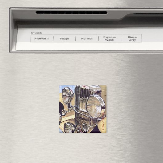 "Ein echter Doozy" Magnet (In Situ (Geschirrspüler))