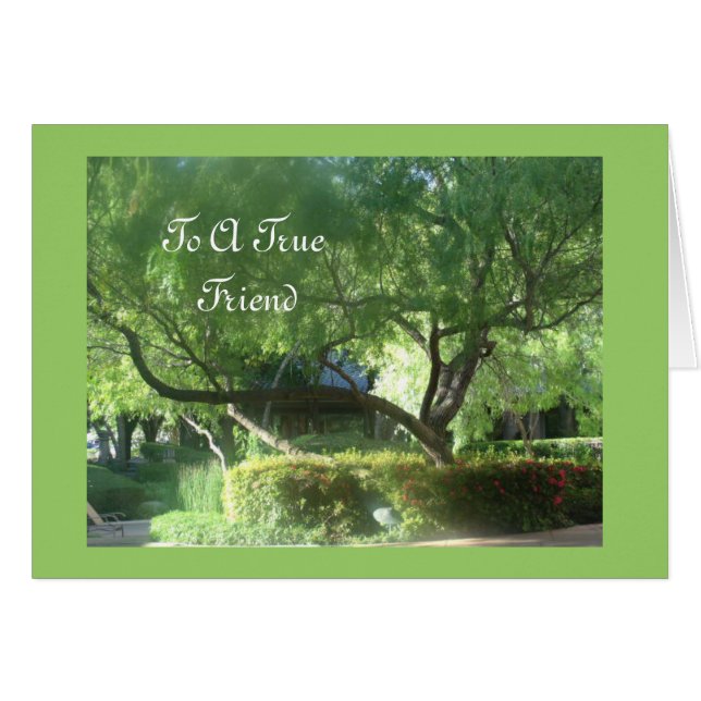 Ein echter Freund (Vorderseite (Horizontal))