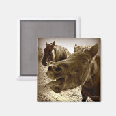 Ein echter Freund Magnet (Vorderseite/Rückseite)