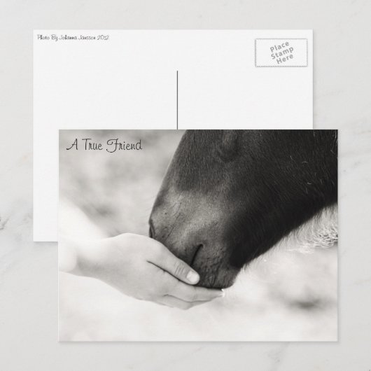 Ein echter Freund Postkarte (Vorne/Hinten)