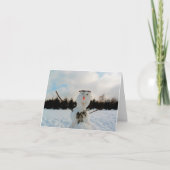 Ein echter Schneemann und ein Winterlandschaft Fot Karte (Vorderseite)