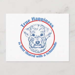 Ein echtes Glück mit einem Schnoodle Postkarte