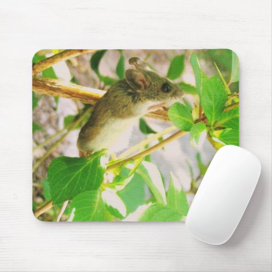 EIN ECHTES MOUSEPAD! MOUSEPAD (Mit Mouse)