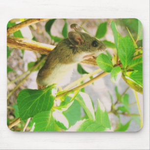 EIN ECHTES MOUSEPAD! MOUSEPAD