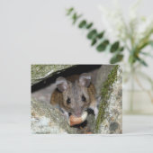 Ein echtes Mundstück Postkarte (Stehend Vorderseite)