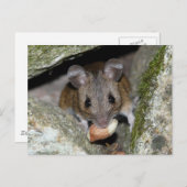 Ein echtes Mundstück Postkarte (Vorne/Hinten)