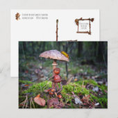 Ein Eichelf versteckt sich unter einem Pilz mit ei Postkarte (Vorne/Hinten)