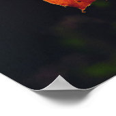 Ein Eichenholz in sechs Flüssen - Nationalwald Poster (Ecke)