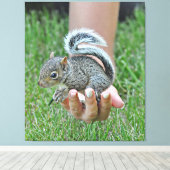 Ein Eichhörnchen in der Hand einer Frau Leinwanddruck (Insitu (Holzboden))
