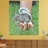 Ein Eichhörnchen in der Hand einer Frau Leinwanddruck (Insitu (Wohnzimmer))
