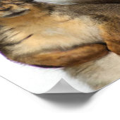 Ein Eichhörnchen mit einer Hat-Grafik Poster (Ecke)