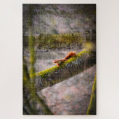 Ein Eichhörnchen Puzzle (Vertikal)