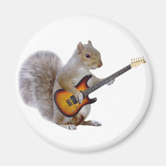 Ein Eichhörnchen spielt Gitarre Magnet