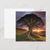 Ein einsamer Baum in der Natur (Vorne/Hinten)