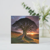 Ein einsamer Baum in der Natur (Stehend Vorderseite)