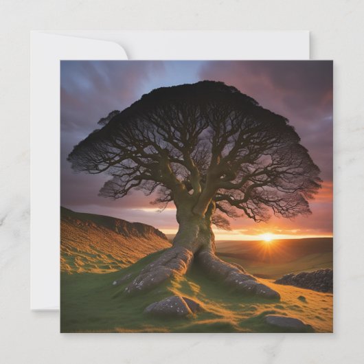 Ein einsamer Baum in der Natur (Vorderseite)