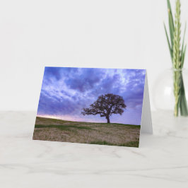 Ein einsamer Baum Karte