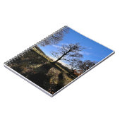 Ein einsamer Baum. Notizblock (Linke Seite)