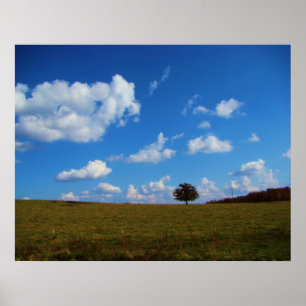 Ein einsamer Baum Poster