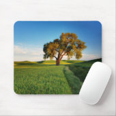 Ein einsamer Baum, umgeben von sanften Hügeln mit Mousepad (Mit Mouse)