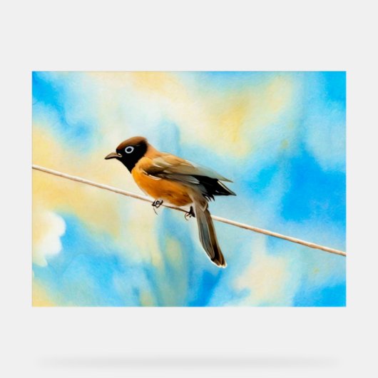 Ein einsamer bunter Vogel Acrylschild (Vorderseite)