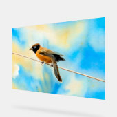 Ein einsamer bunter Vogel Acrylschild (Winkel)