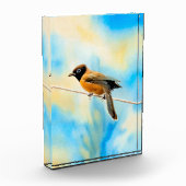 Ein einsamer bunter Vogel Fotoblock (Links)