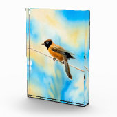 Ein einsamer bunter Vogel Fotoblock (Rechts)