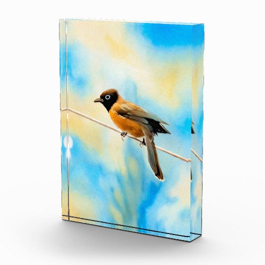 Ein einsamer bunter Vogel Fotoblock (Rechts)