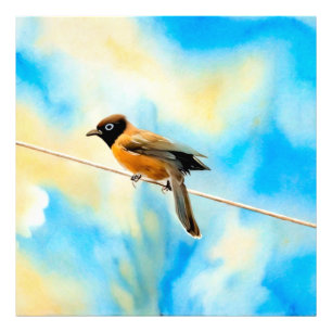 Ein einsamer bunter Vogel Fotodruck