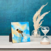 Ein einsamer bunter Vogel Fotoplatte (InSitu)