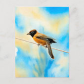 Ein einsamer bunter Vogel Postkarte (Vorderseite)