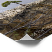 Ein einsamer Grand Canyon Tree Poster (Ecke)