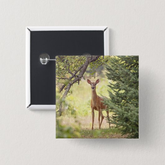Ein einsamer Hirsch Button (Vorne & Hinten)