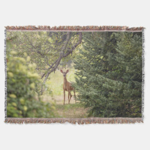 Ein einsamer Hirsch  Decke