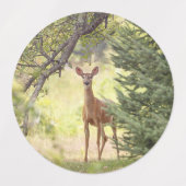 Ein einsamer Hirsch Etiketten (Design 2)