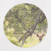 Ein einsamer Hirsch Etiketten (Design 1)