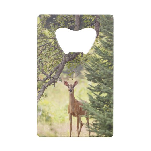 Ein einsamer Hirsch Geldbeutel Flaschenöffner (Vorderseite)