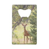 Ein einsamer Hirsch Geldbeutel Flaschenöffner (Rückseite)