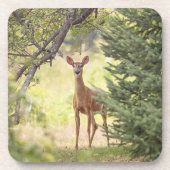 Ein einsamer Hirsch Getränkeuntersetzer (Vorderseite)