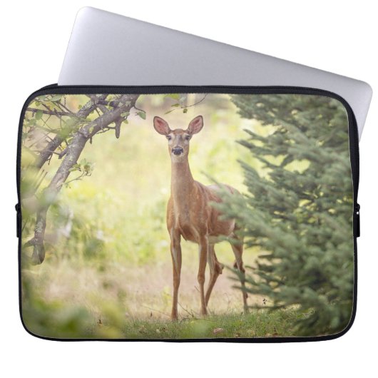 Ein einsamer Hirsch Laptopschutzhülle (Vorderseite)
